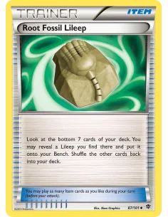 Root Fossil Lileep - Reverse Holo