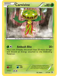 Carnivine - Reverse Holo