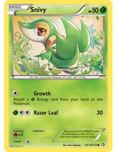 Snivy - Reverse Holo