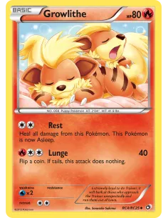 Growlithe - Reverse Holo