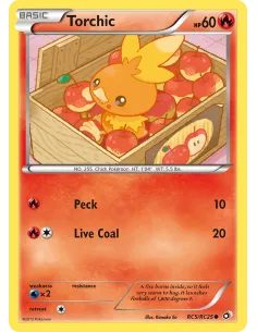 Torchic - Reverse Holo