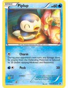 Piplup - Reverse Holo