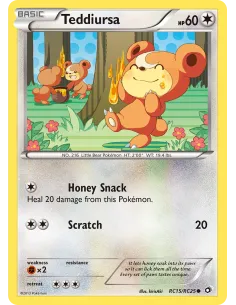 Teddiursa - Reverse Holo