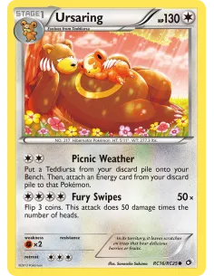 Ursaring - Reverse Holo