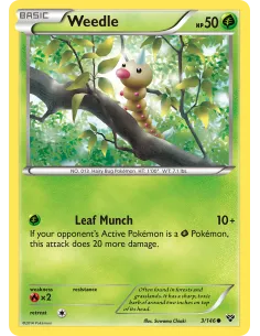 Weedle - Reverse Holo