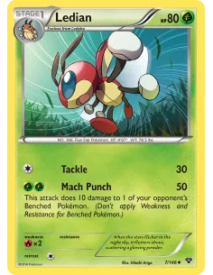 Ledian - Reverse Holo