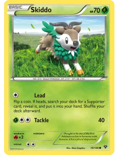 Skiddo - Reverse Holo
