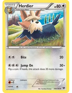 Herdier - Reverse Holo