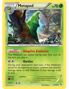 Metapod - Reverse Holo