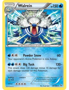 Walrein - Reverse Holo