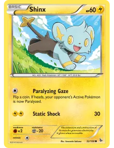Shinx - Reverse Holo