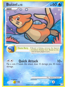 Buizel