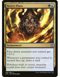 Secret Plans - Foil