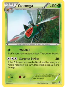 Yanmega - Reverse Holo