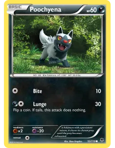 Poochyena - Reverse Holo