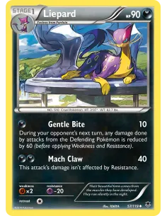 Liepard - Reverse Holo