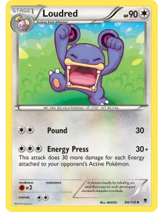 Loudred - Reverse Holo