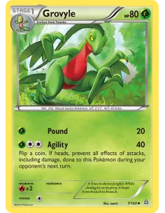 Grovyle - Reverse Holo