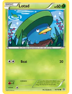 Lotad - Reverse Holo