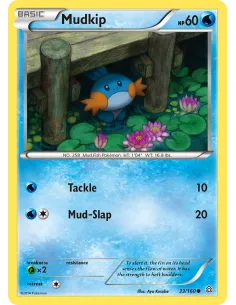 Mudkip - Reverse Holo