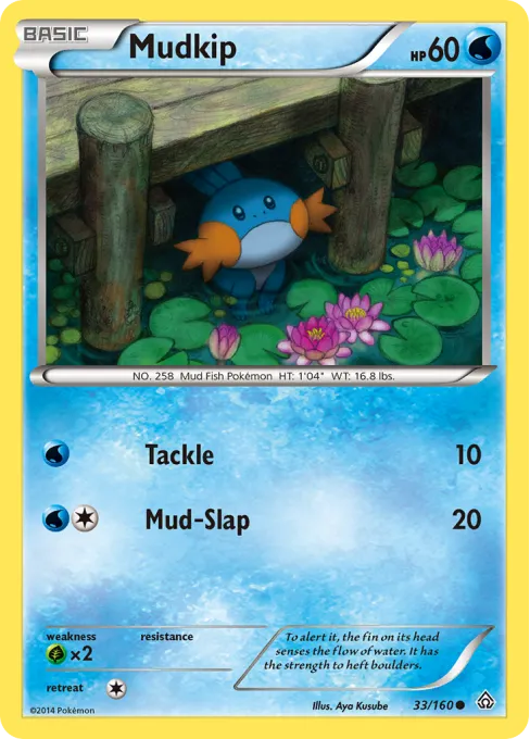Mudkip - Reverse Holo