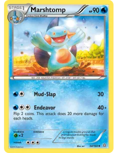 Marshtomp - Reverse Holo