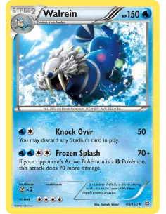 Walrein - Reverse Holo