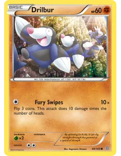 Drilbur - Reverse Holo