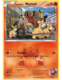 Team Magma's Numel - Reverse Holo