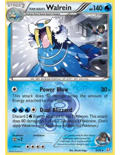 Team Aqua's Walrein - Reverse Holo