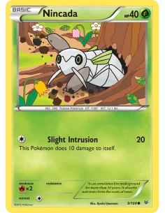 Nincada - Reverse Holo