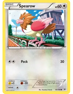 Spearow - Reverse Holo