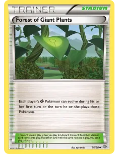 Forest of Giant Plants - Reverse Holo