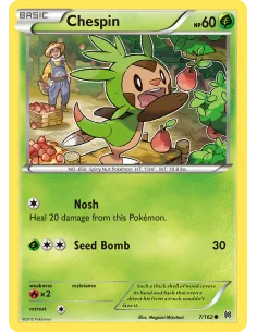 Chespin - Reverse Holo