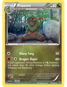 Fraxure - Reverse Holo