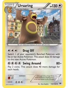 Ursaring - Reverse Holo