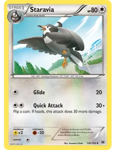 Staravia - Reverse Holo