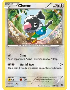 Chatot - Reverse Holo