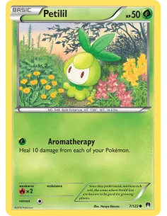 Petilil - Reverse Holo