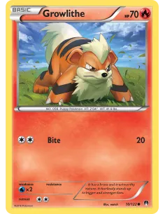 Growlithe - Reverse Holo