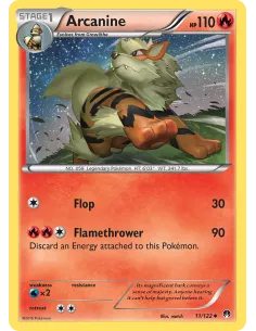 Arcanine - Reverse Holo