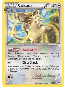 Raticate - Reverse Holo