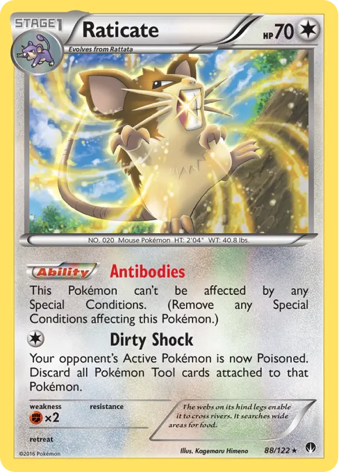 Raticate - Reverse Holo