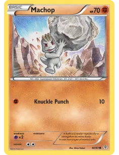 Machop - Reverse Holo