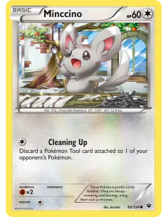 Minccino - Reverse Holo