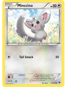 Minccino - Reverse Holo