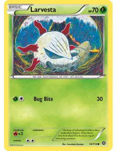 Larvesta - Reverse Holo