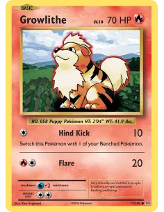Growlithe - Reverse Holo