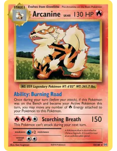 Arcanine - Reverse Holo