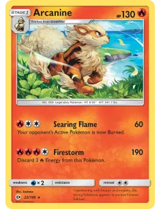 Arcanine - Reverse Holo